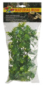Zoo Med Plante terrarium naturaliste amazonienne Pyllo