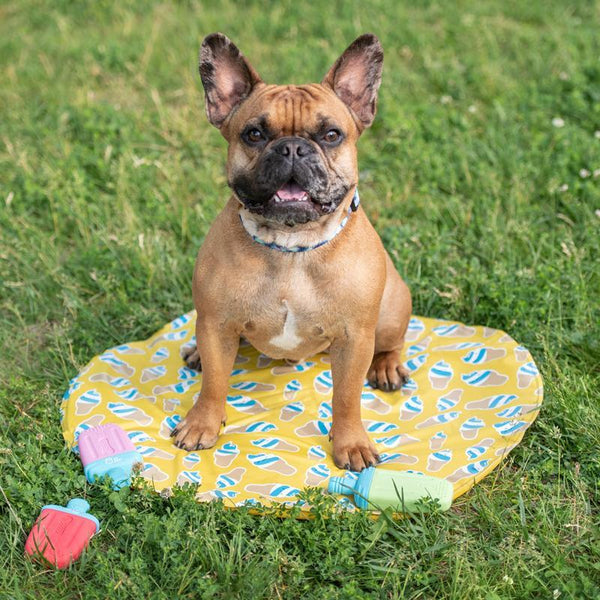 GF Pet Cooling Round Ice Dog Mat, Yellow