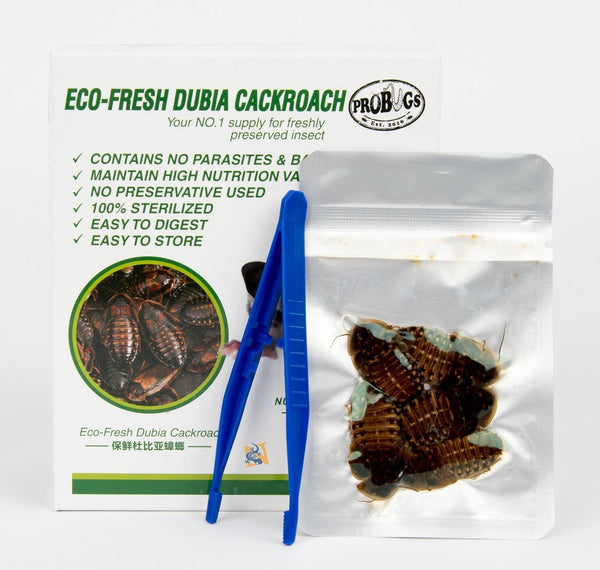 ProBugs Eco-Fresh Dubia Cockroach Pet Food