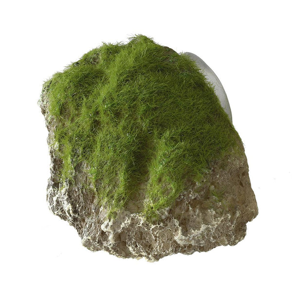 Aqua Della Moss Stone with Suction Cup Aquarium Decoration
