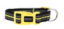 DOOG Collier pour chien haute visibilité, Neon Bolt