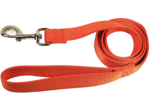 Hamilton Single Thick Nylon Dog Leash, Mango