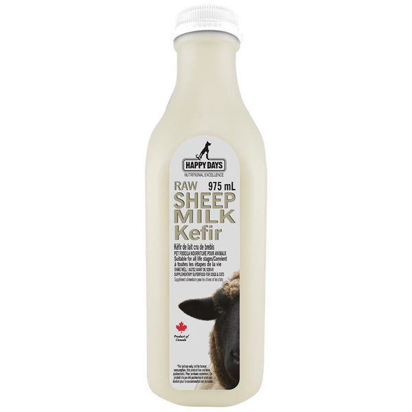 Happy Days Dairy Kéfir de lait cru de brebis.