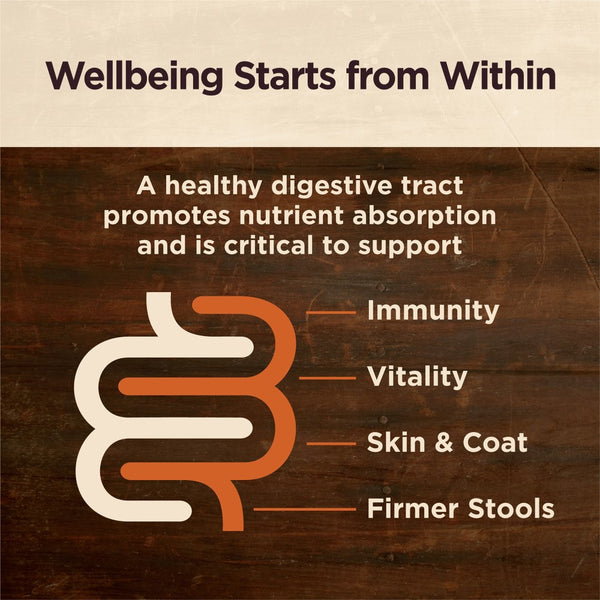 Wellness CORE Digestive Health Whitefish Recipe Dry Dog Food