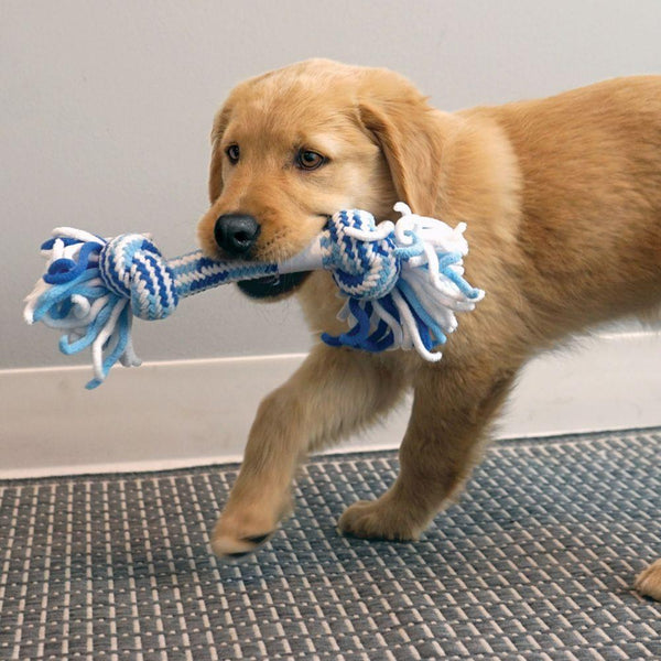KONG Rope Stick Puppy Dog Toy, Assorted