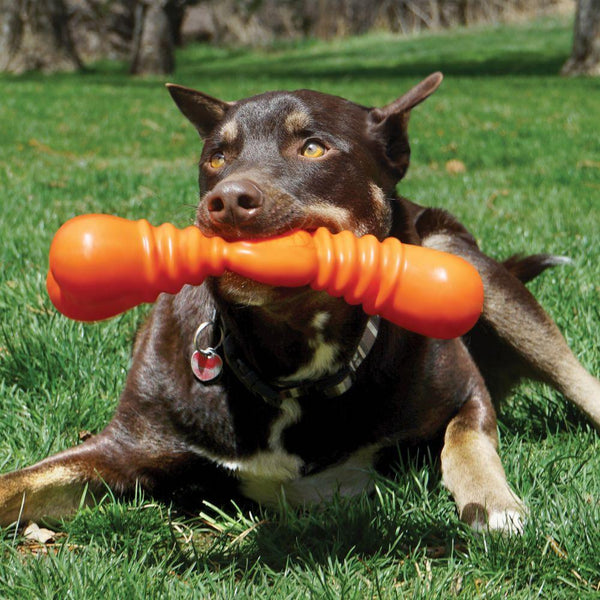 KONG SqueakStix Wigglerz Dog Toy