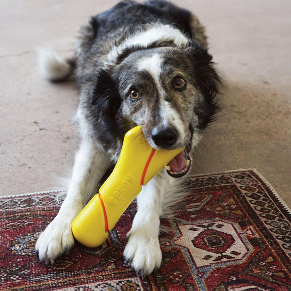 KONG Squeezz Tennis Buoy with Rope Dog Toy