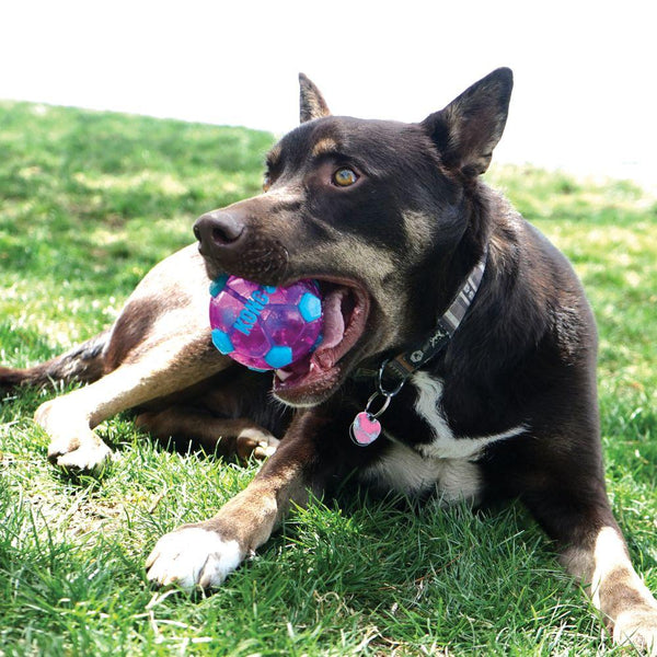 KONG Wrapz Sport Soccer Ball Dog Toy
