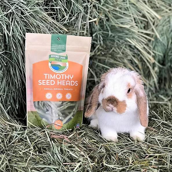 Round Lake Farm Products Timothy Seed Heads Small Animal Treats