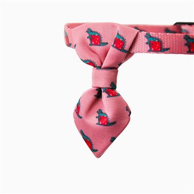HugSmart Catzilla Space Kitty Kitten Collar