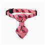 HugSmart Catzilla Space Kitty Kitten Collar