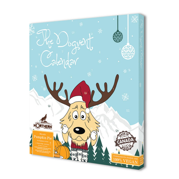 The Dogvent Calendar Calendrier de l'Avent de Noël friandises pour chiens Northern Biscuit Tarte à la citrouille