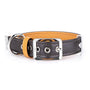 MyFamily Hermitage Genuine Leather Dog Collar, Brown/Ochre