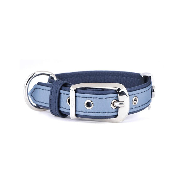 MyFamily Firenze Leather Dog Collar, Light Blue