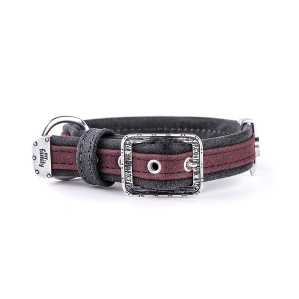 MyFamily London Leatherette Dog Collar, Purple