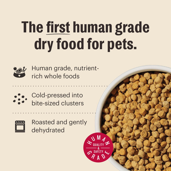 The Honest Kitchen Whole Food Clusters Chicken & Fish Grain-Free Dry Cat Food
