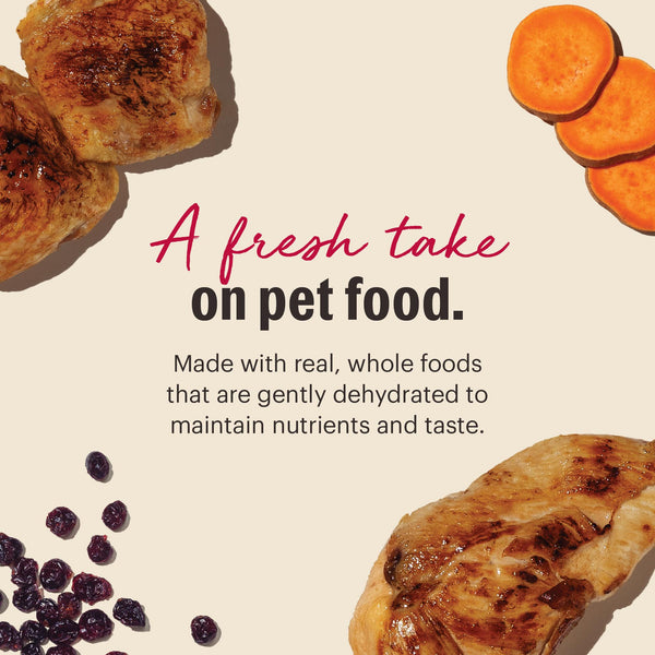 The Honest Kitchen Chicken Grain-Free Dehydrated Cat Food