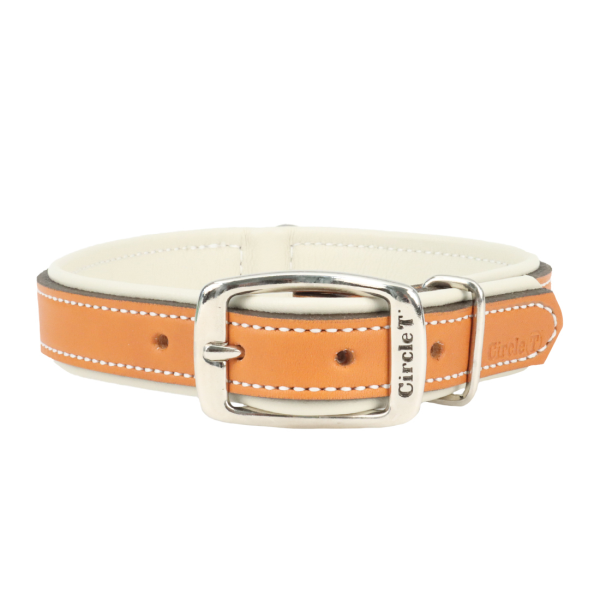 Circle T Double-Ply Fashion Leather Dog Collar, Tan & Cream