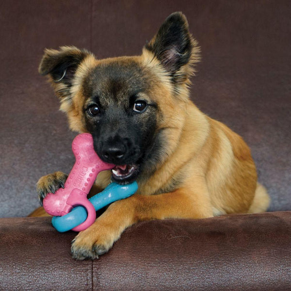 KONG ChewStix Puppy Link Bone Dog Toy