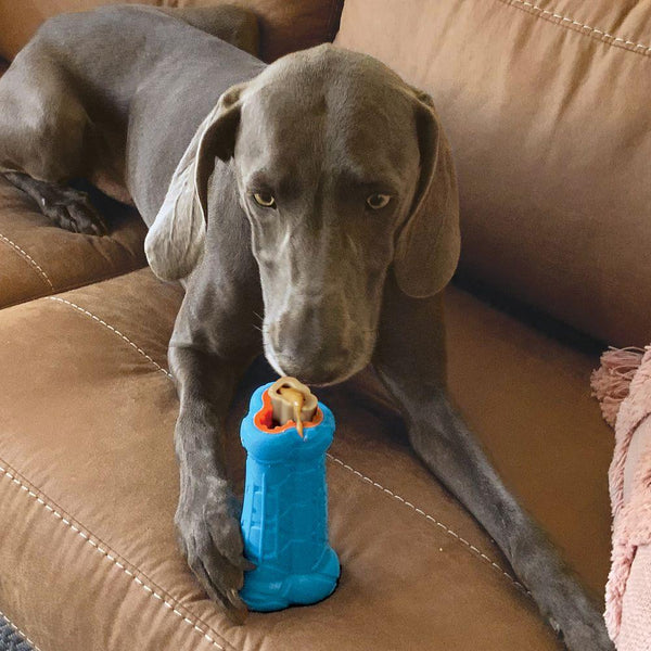 KONG Treatster Dog Toy