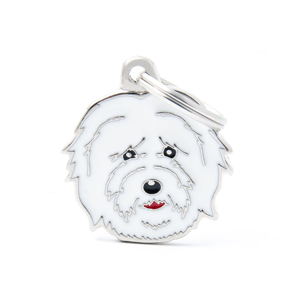 MyFamily Friends Coton De Tulear Pet ID Tag, Medium