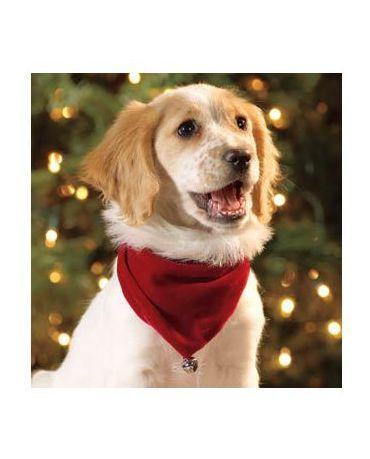 Outward Hound Holiday Pet Bandana