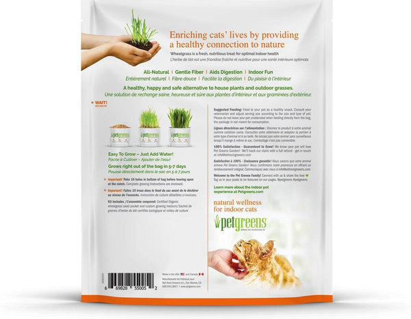 Pet Greens Self Grow Garden Pet Grass, 3-oz