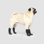 Canada Pooch Slouchy Chaussettes pour chien, noir