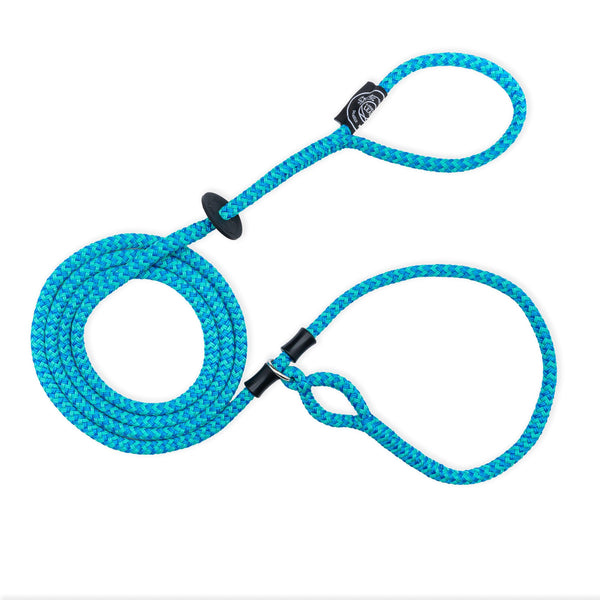 Harness Lead Dog Harness & Lead, Swell Blue/Turquoise