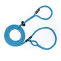 Harness Lead Harnais et laisse pour chiens, Violet Vaporwave/Turquoise
