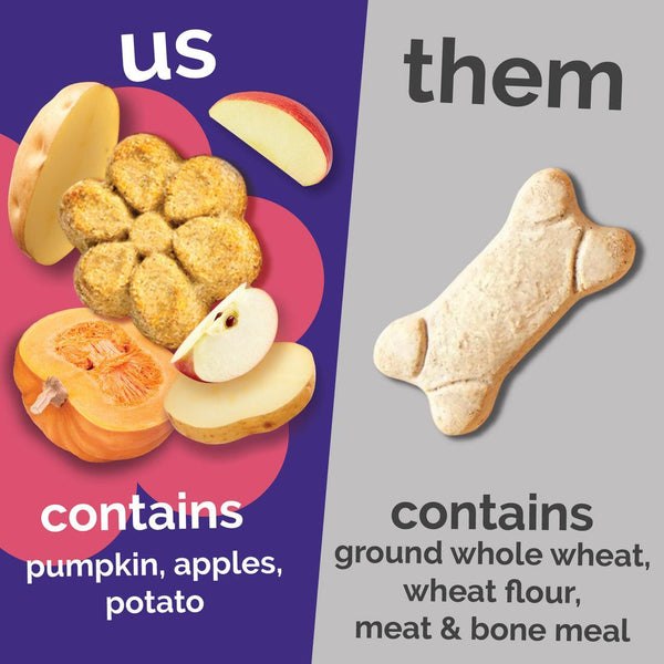 Fruitables Pumpkin & Apple Dog Treats