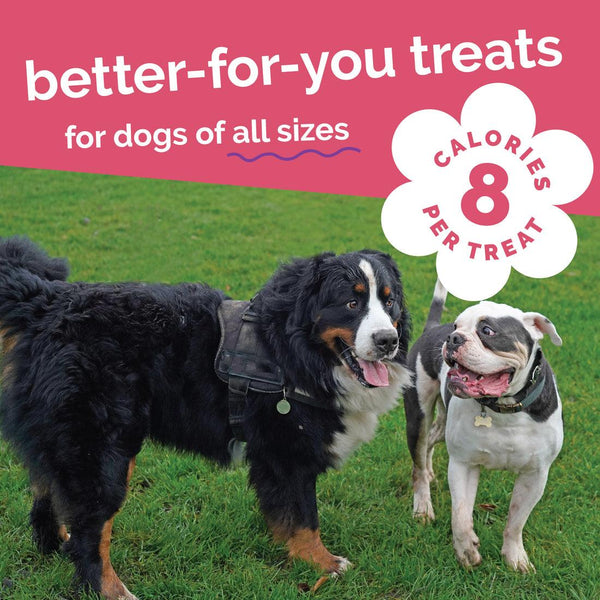 Fruitables Pumpkin & Apple Dog Treats