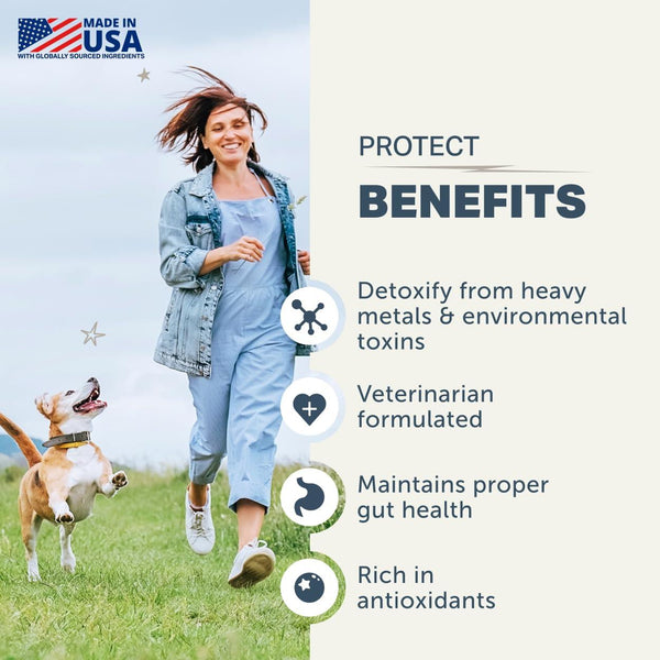 Four Leaf Rover Protect Soil-Based Probiotics Dog Supplement