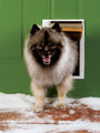PetSafe Extreme Weather Pet Door, White