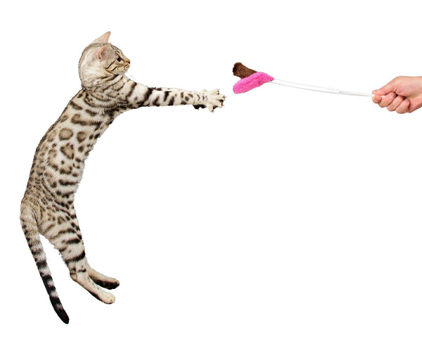 RompiCatz Plush Tip Teaser Cat Toy, Pink