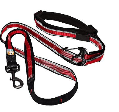 Kurgo Quantum 6-in-1 Reflective Dog Leash, Red/Black