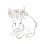 MyFamily lapin Médaille d'identification pour animaux de compagnie
