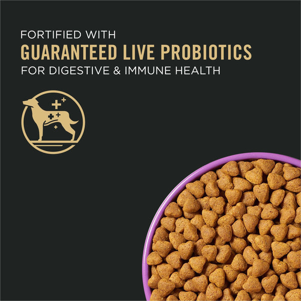 Purina Proplan Chien Adulte Poulet et riz