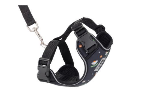 RC Pets Adventure Kitty Cat Harness, Daisies