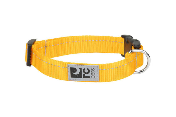 RC Pets Primary Clip Dog Collar, Marigold