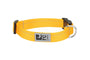 RC Pets Primary Clip Dog Collar, Marigold