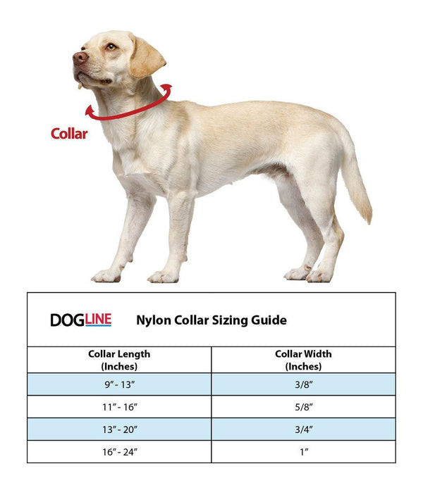 Dogline Nylon Flat Dog Collar, Grey