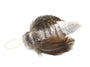 Go Cat Cat Lures Jouet pour chat Mouche de nuit Volante Go Cat Cat Lures