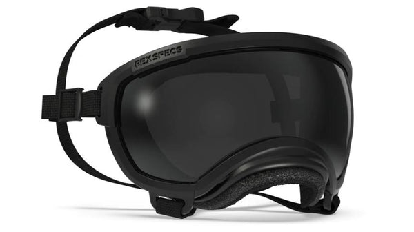 Rex Specs V2 Dog Goggle, Black