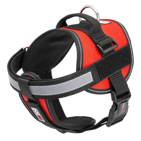 Dogline Unimax Multi-Purpose Dog Harness, Red