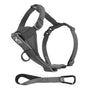 Harnais de marche intelligent pour chien Tru-Fit de Kurgo