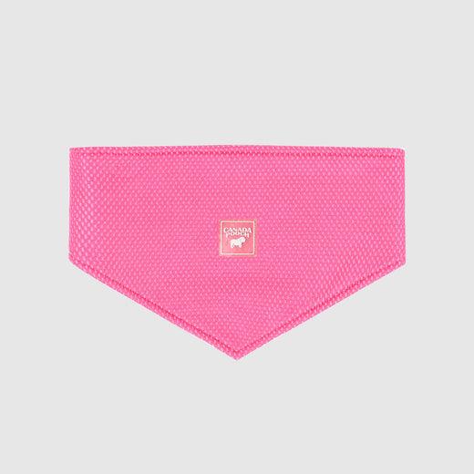 Canada Pooch Dog Cooling Bandana, Neon Pink