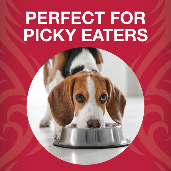KOHA Raw Life Beef Entree Freeze-Dried Raw Bites for Dogs