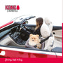 KONG Travel Secure Booster Seat pour animaux de compagnie