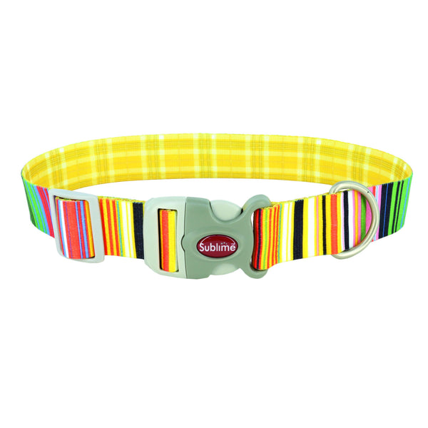 Sublime Adjustable Dog Collar, Sublime Stripe with Gold Plaid